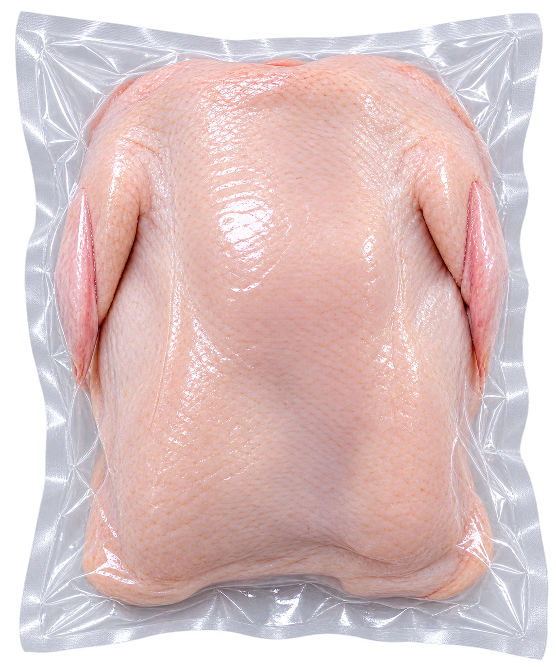 Bebek Utuh